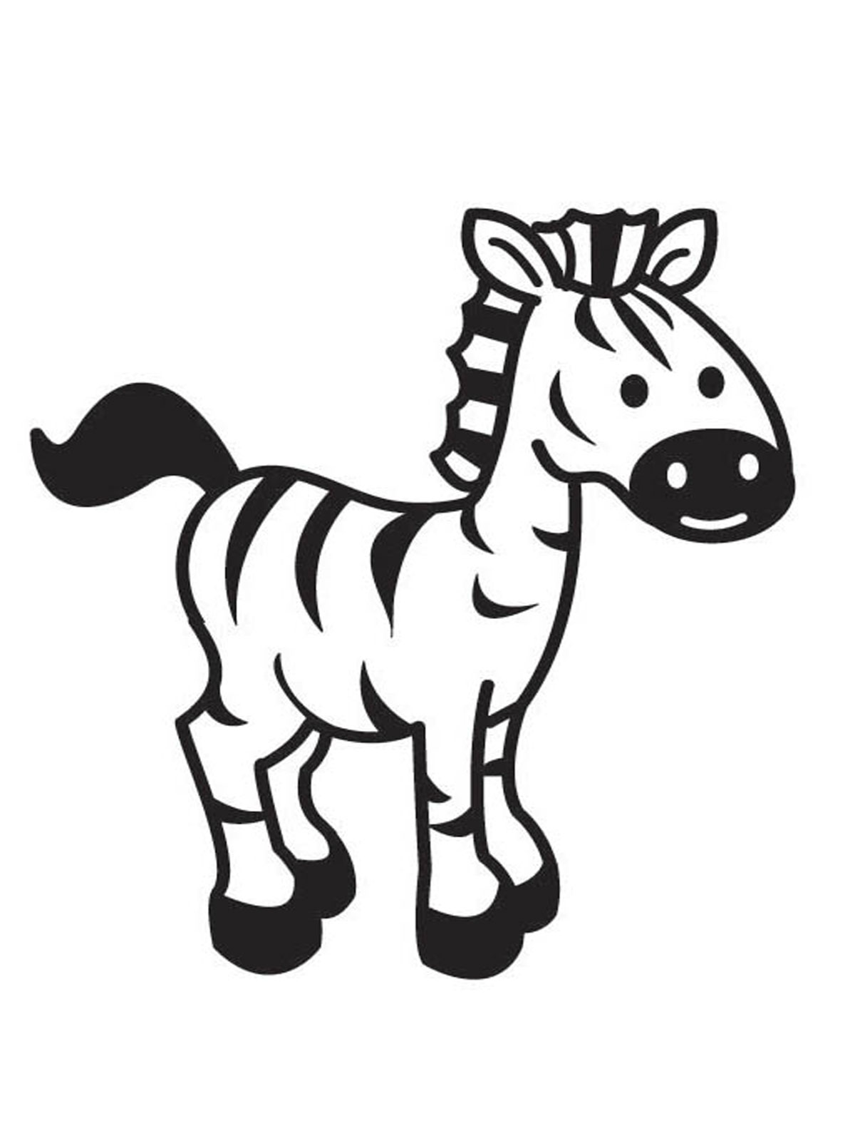 Zebra pequena