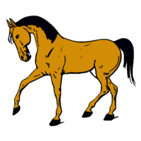 Desenhos de Cavalo para colorir