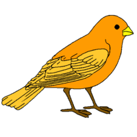 Desenhos de Pássaro para colorir