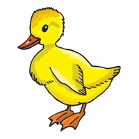 Desenhos de Pato para colorir
