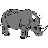Desenhos de Rinoceronte para colorir