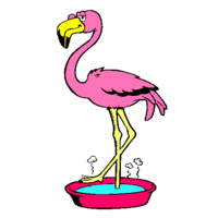 Desenhos de Flamingo para colorir