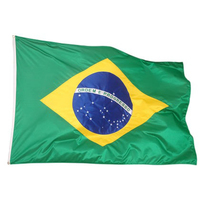 Desenhos da Bandeira do Brasil para colorir